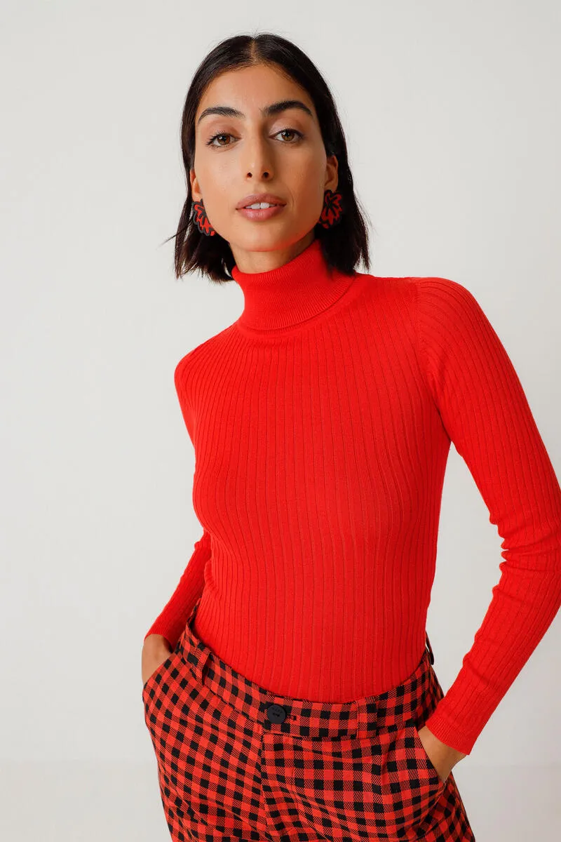 Aldara Turtleneck