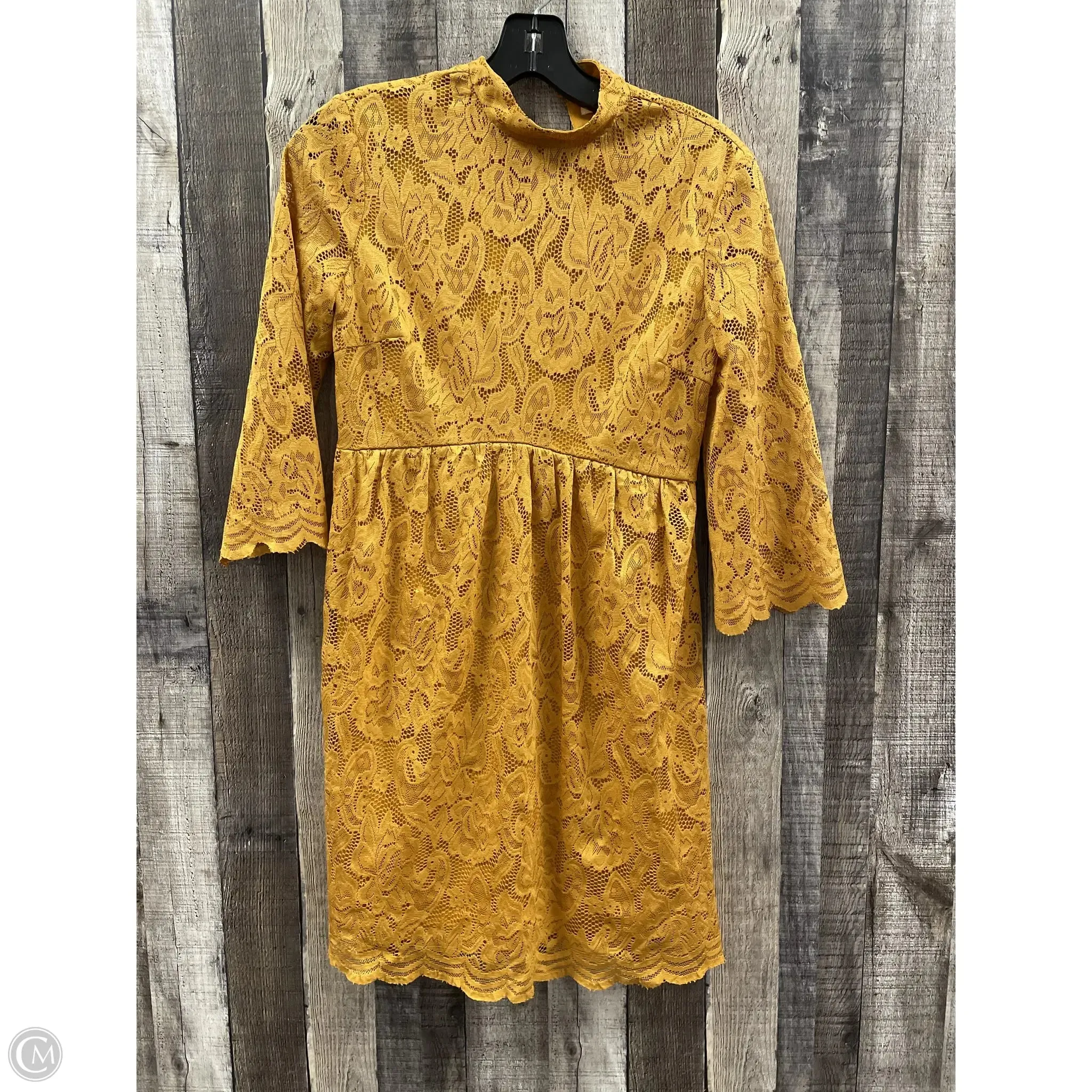 Dress Casual Short By Taylor & Sage In Gold, Size: Xs