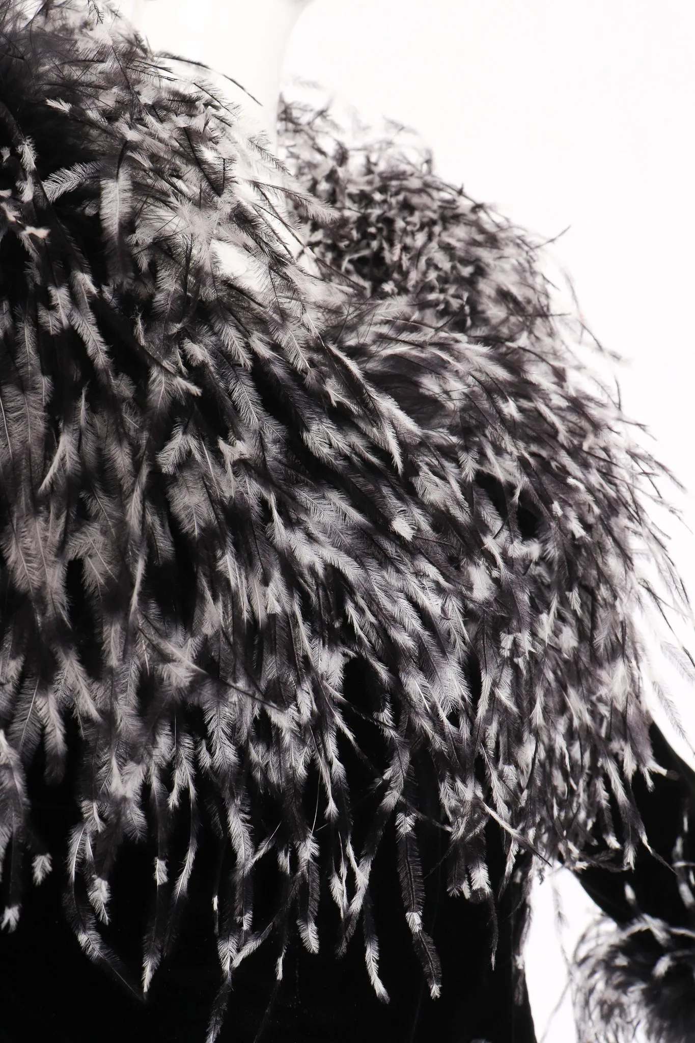Velvet Ostrich Feather Jacket