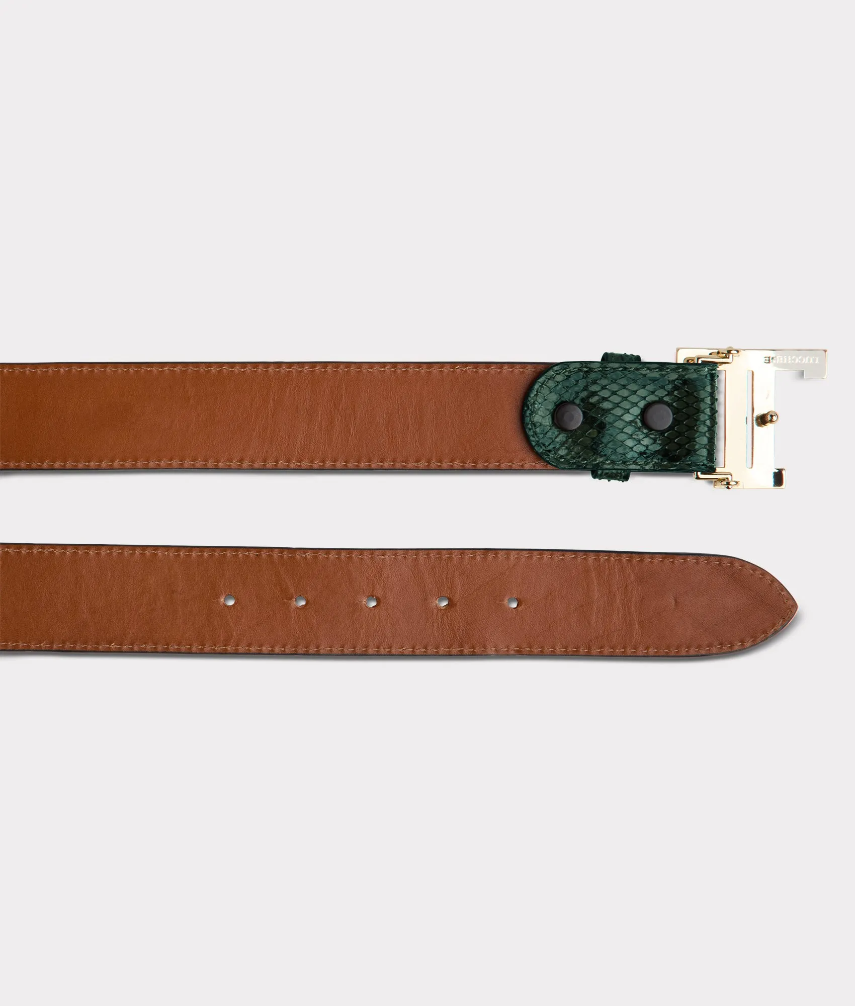 Women's Exotic Mirrored L Belt :: Emerald