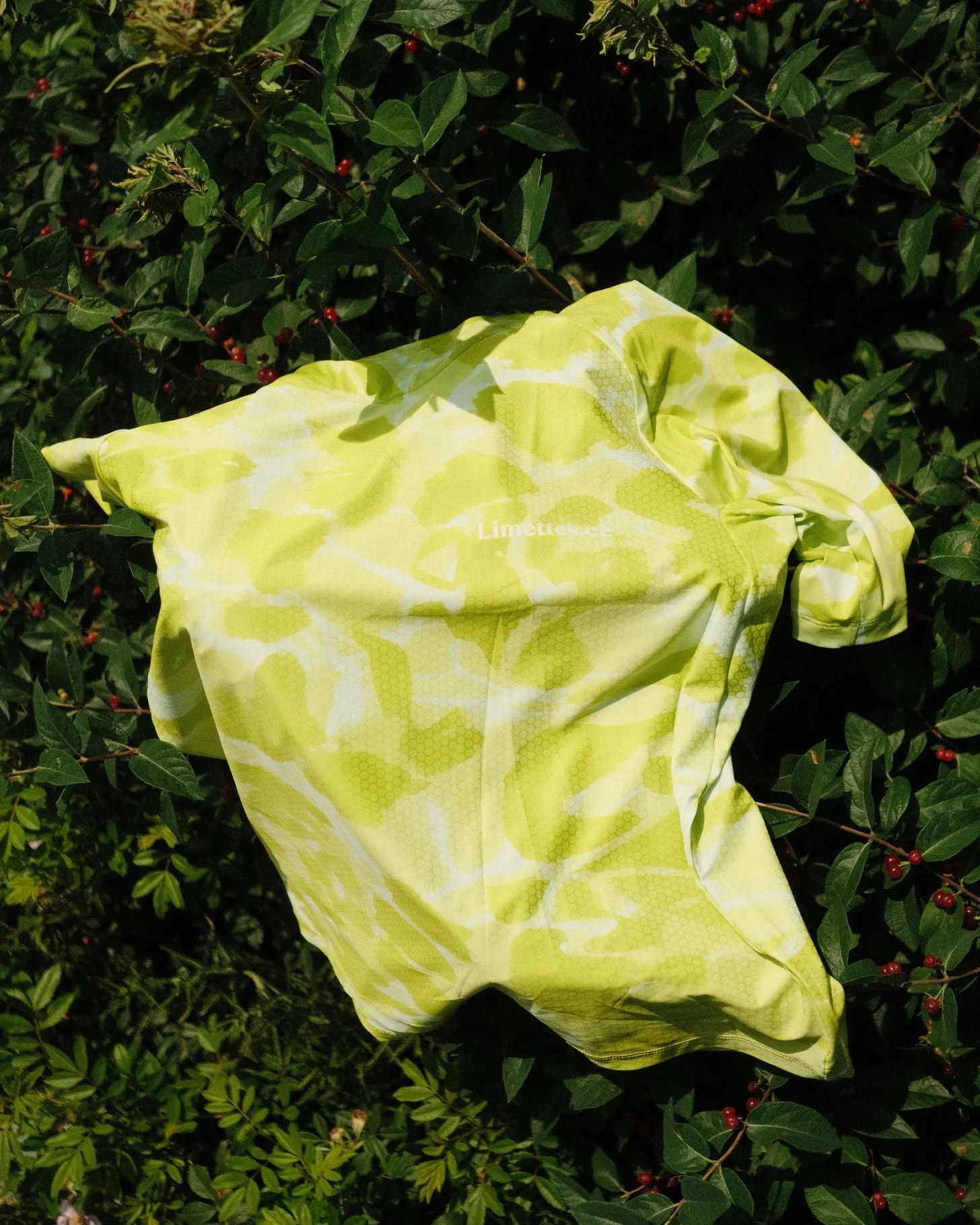 Women's Explore T-Shirt